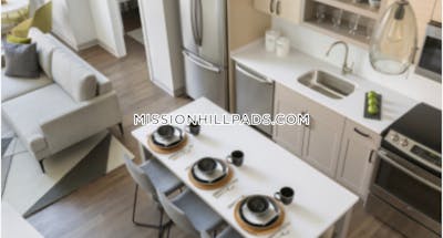 Mission Hill Apartment for rent Studio 1 Bath Boston - $3,071